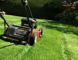 mow sod