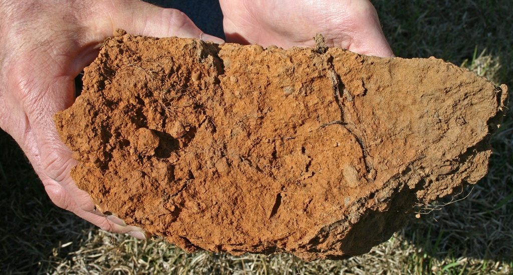 clay-soil
