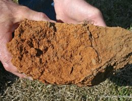 clay-soil