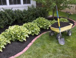 How to Mulch Properly