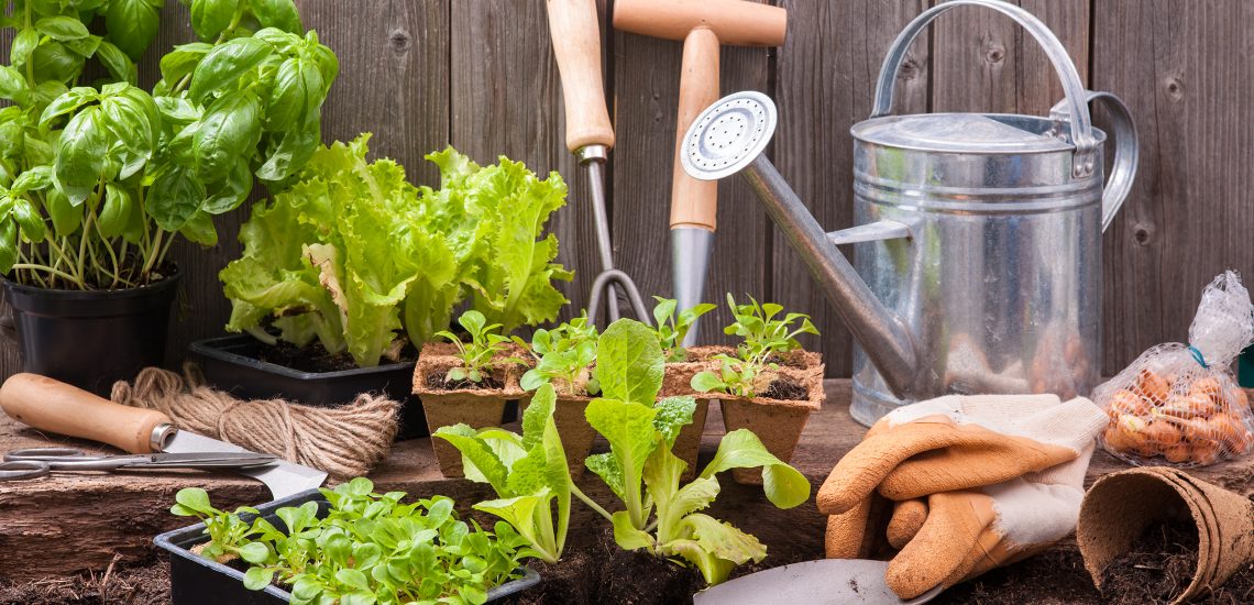gardening tips