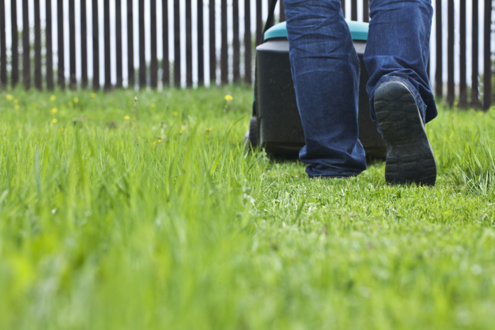 lawn mowing flower mound