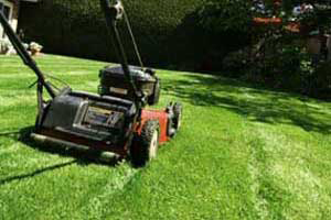 Is a Reel Mower Right for You? Houston Sugar Land Katy
