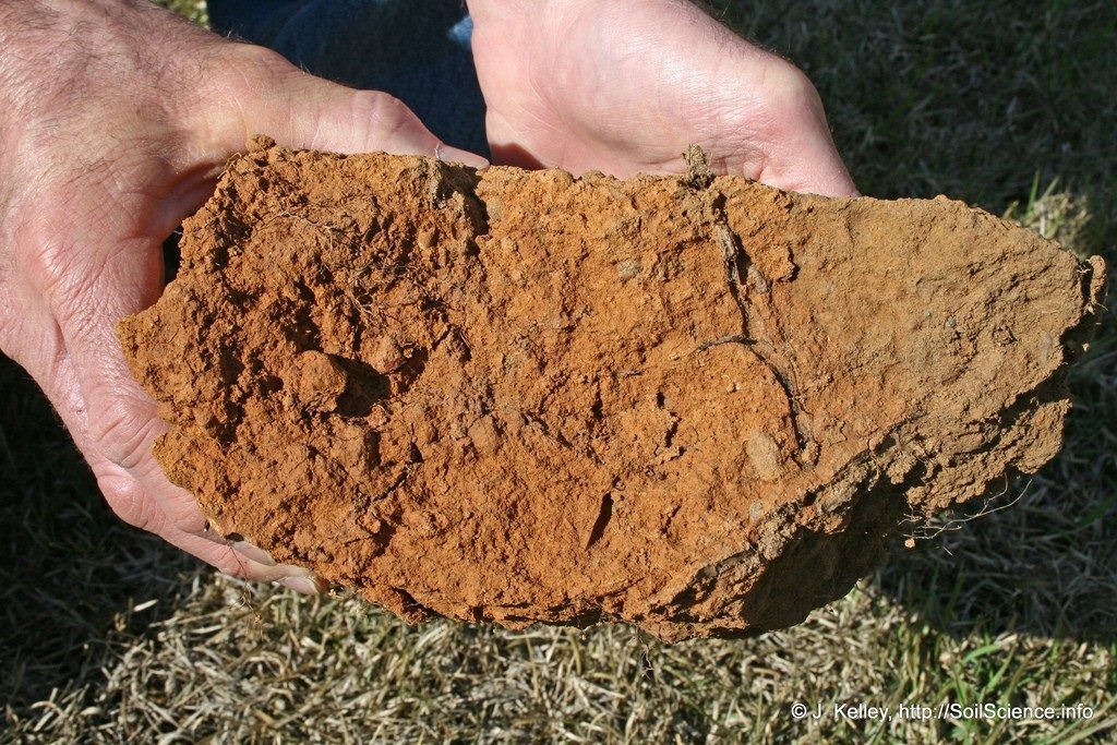clay-soil