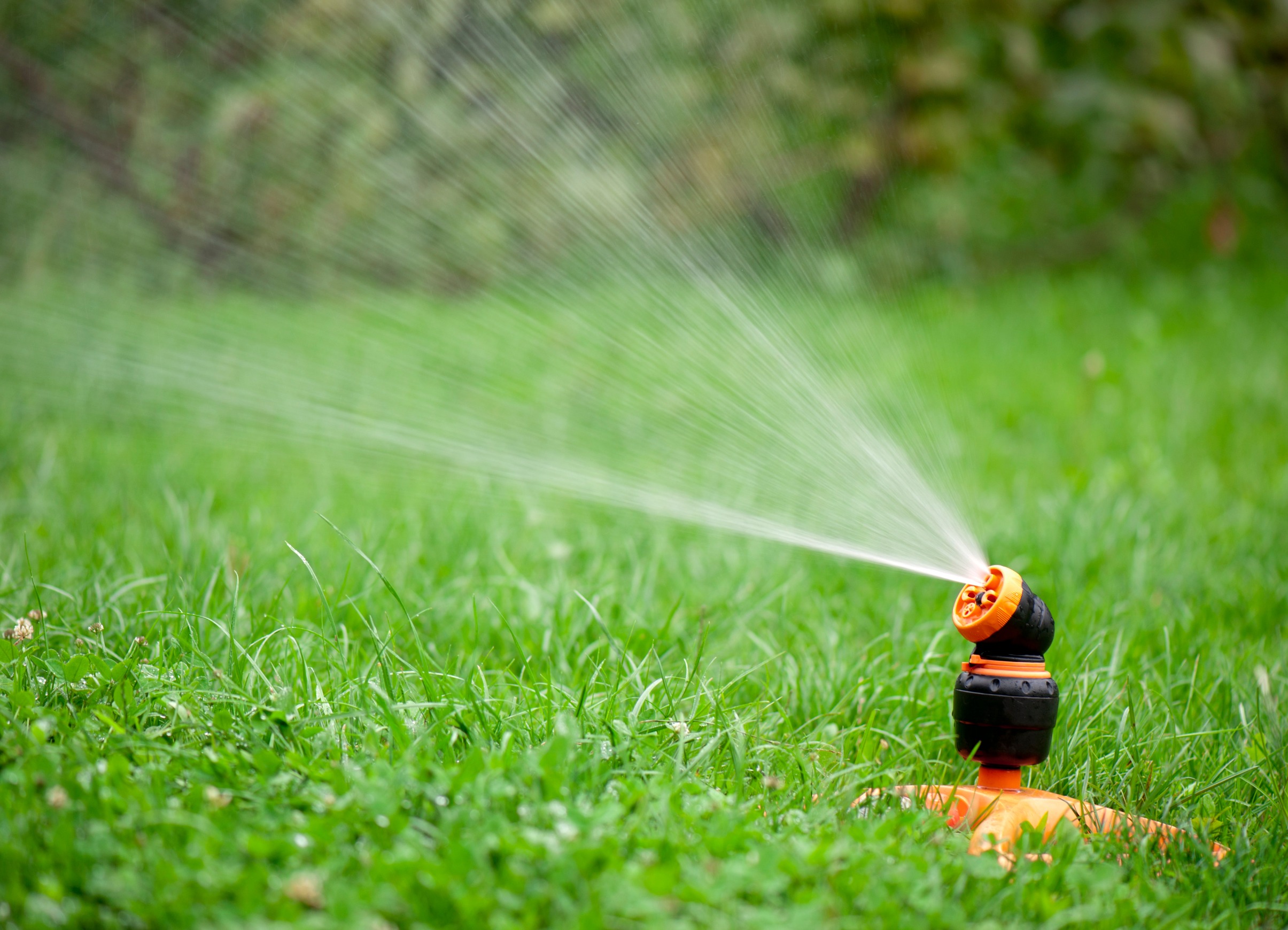 How often to water lawn