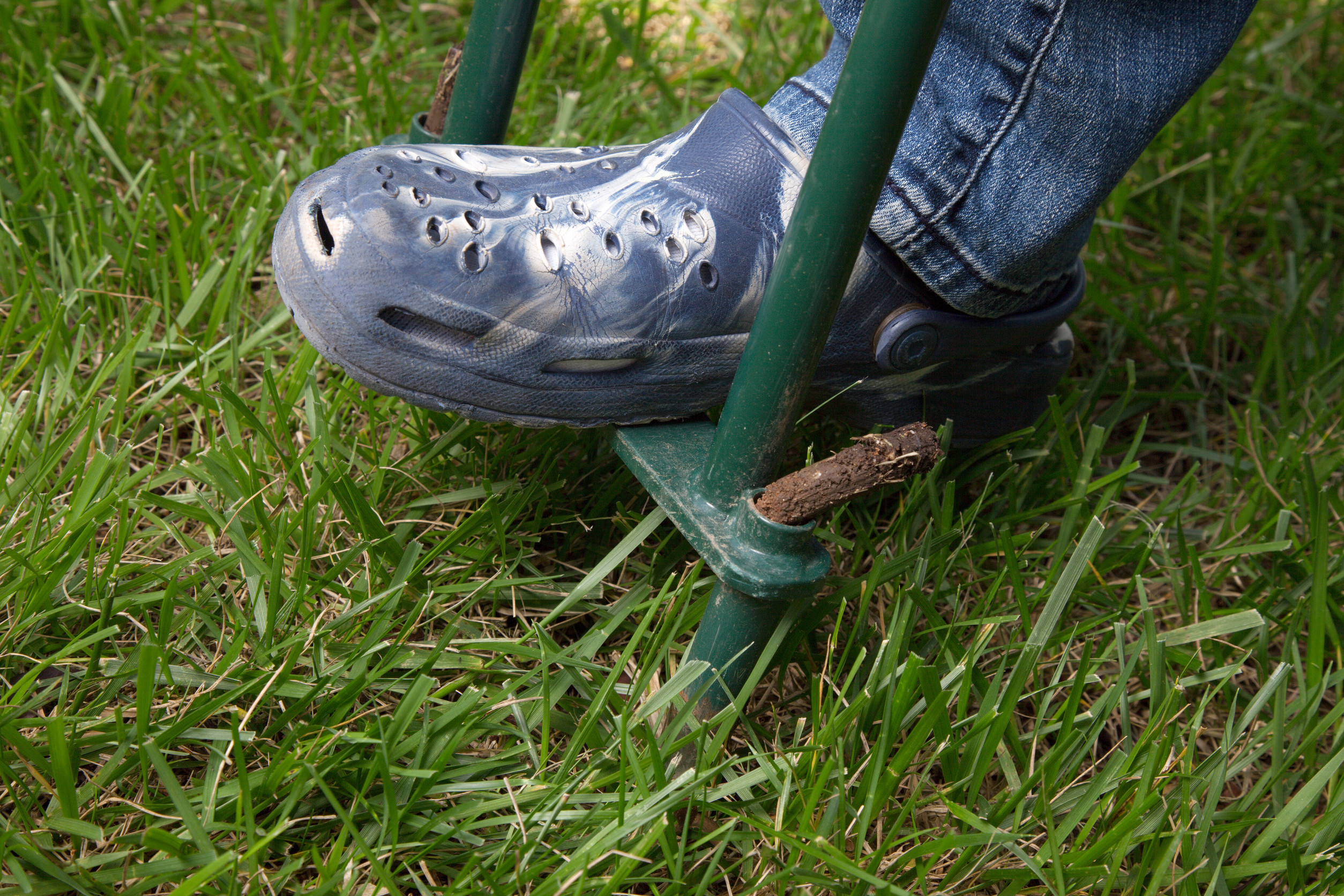 does my lawn need aeration